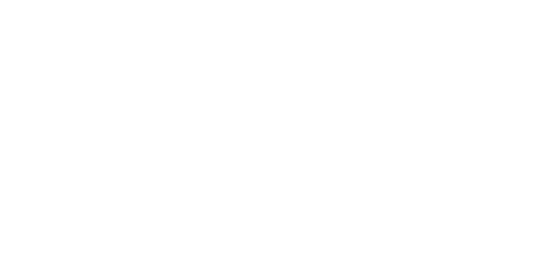 REESH CAPITAL